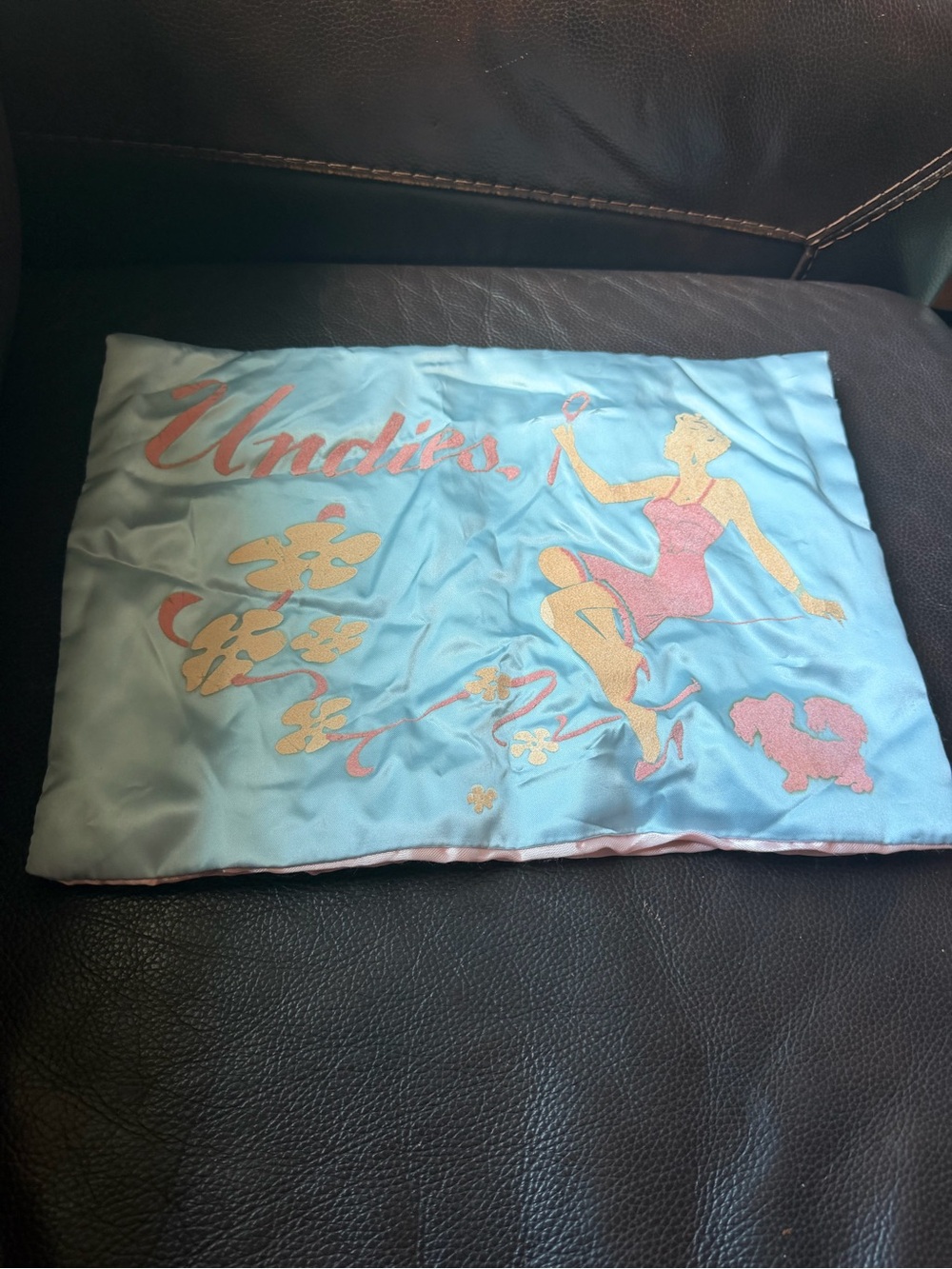 Vintage Undies 🎀 Pastel Pink and blue Satin Lingerie Negligé Travel Bag